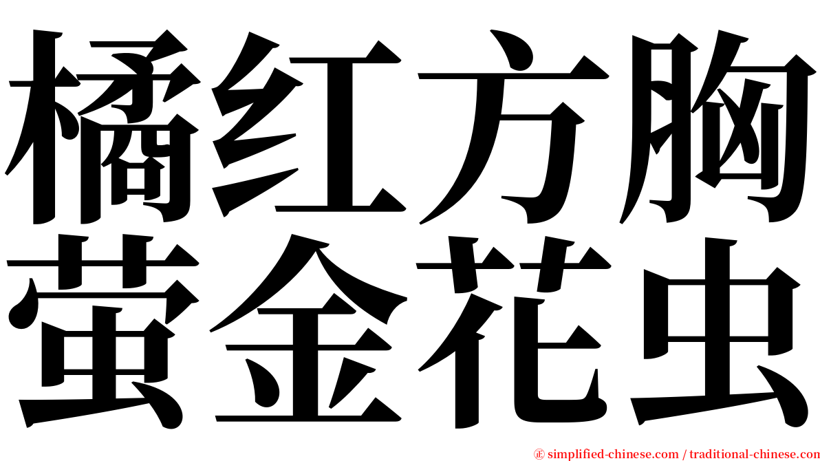 橘红方胸萤金花虫 serif font