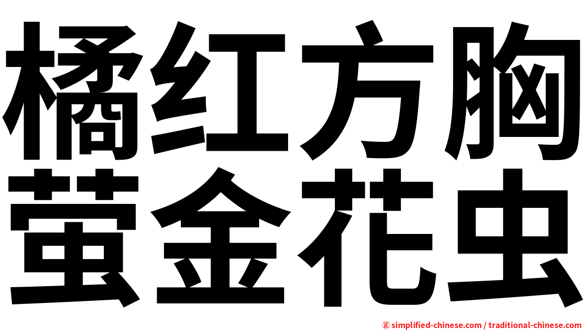橘红方胸萤金花虫