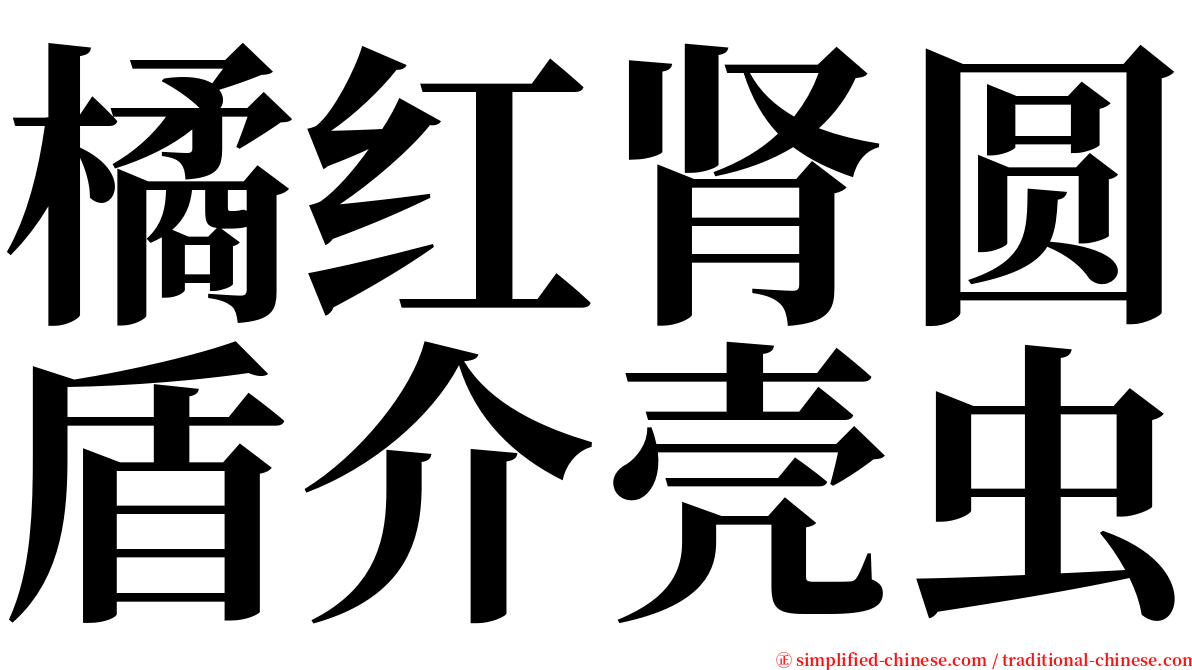 橘红肾圆盾介壳虫 serif font