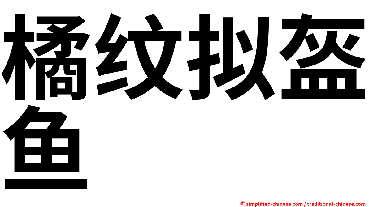 橘纹拟盔鱼