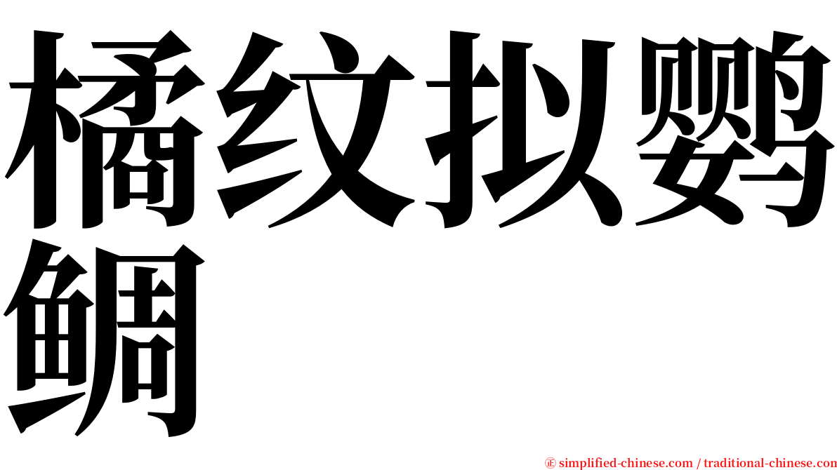 橘纹拟鹦鲷 serif font