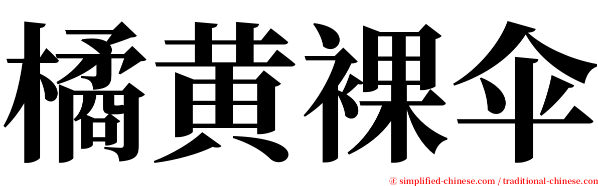 橘黄裸伞 serif font