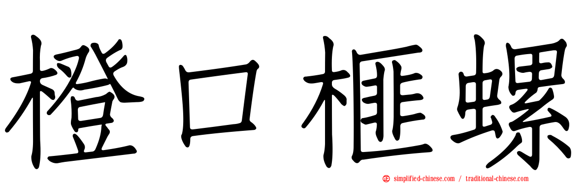橙口榧螺