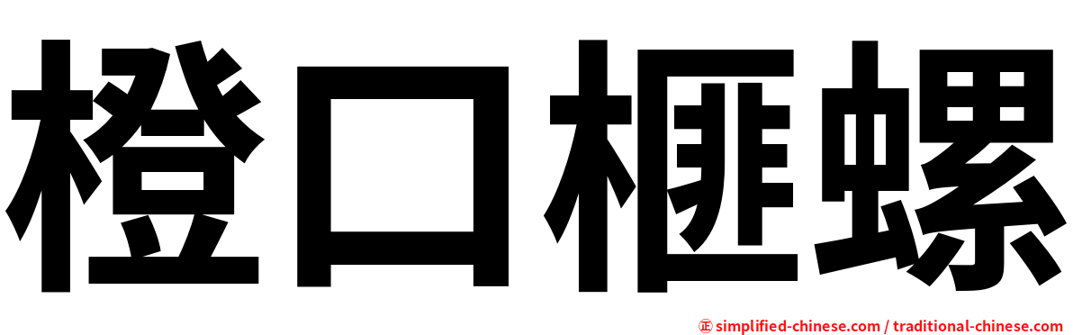 橙口榧螺