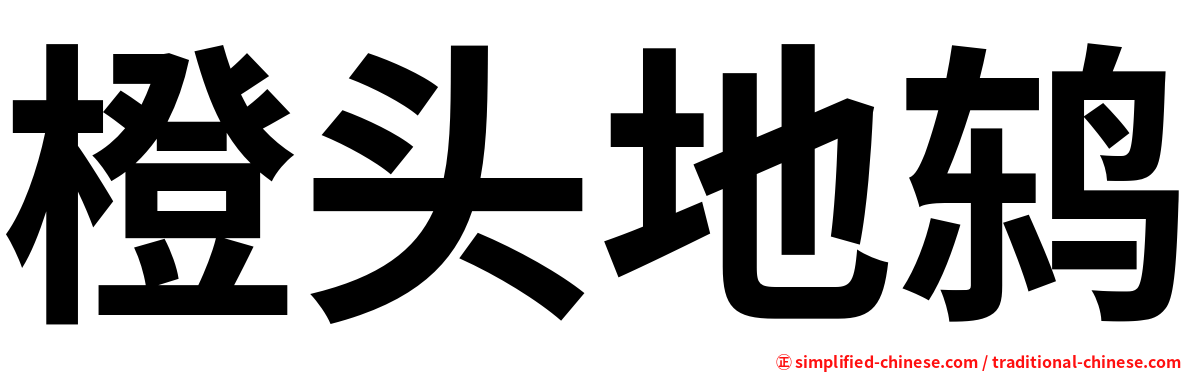 橙头地鸫
