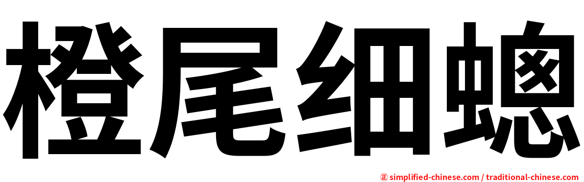 橙尾细蟌