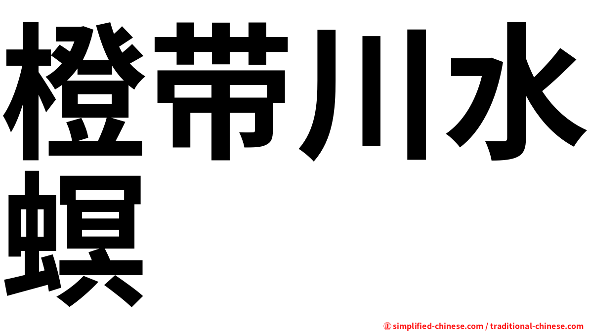 橙带川水螟