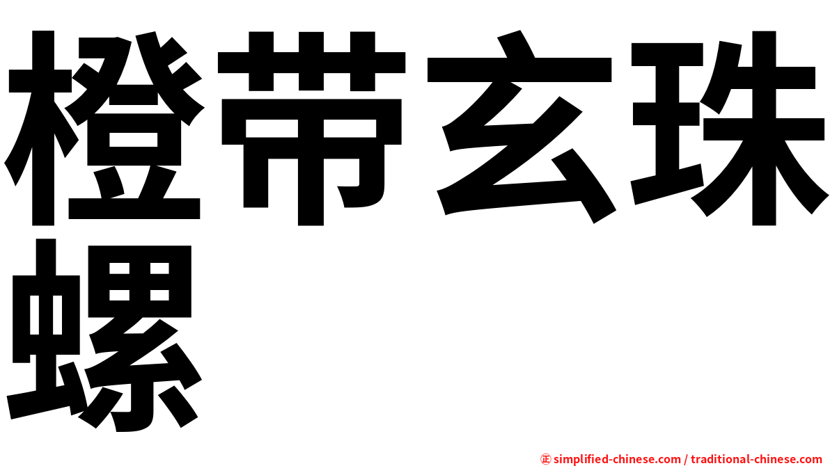 橙带玄珠螺