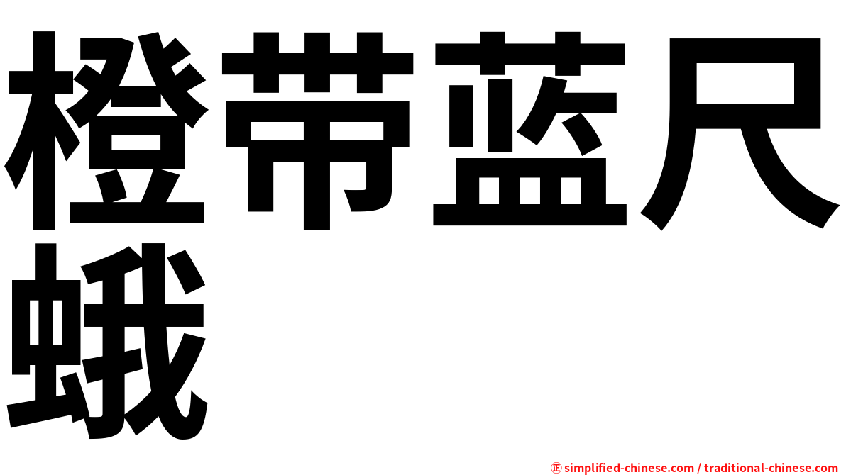橙带蓝尺蛾