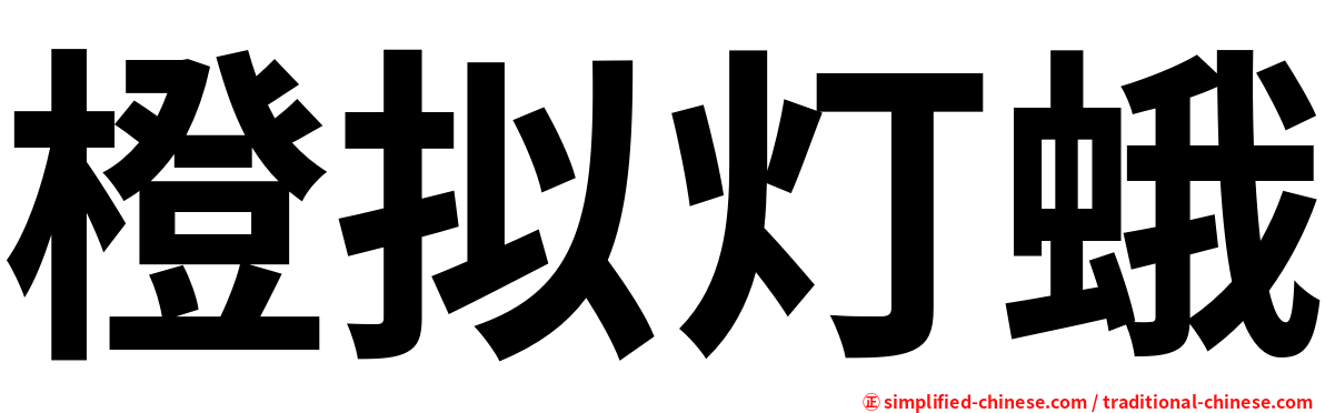 橙拟灯蛾