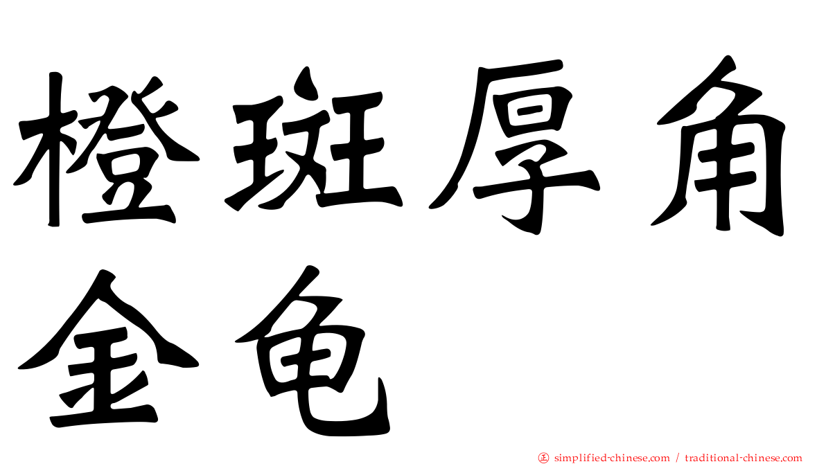 橙斑厚角金龟