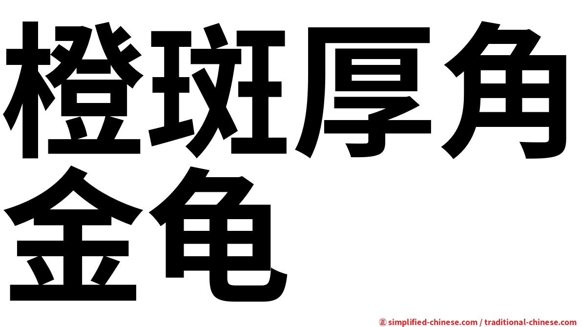 橙斑厚角金龟