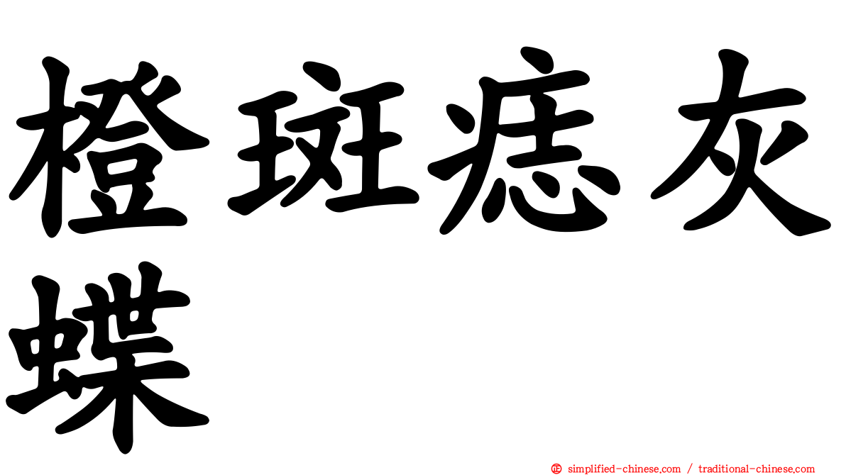 橙斑痣灰蝶