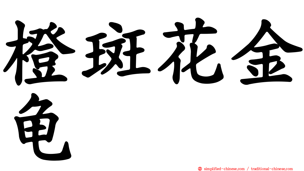 橙斑花金龟