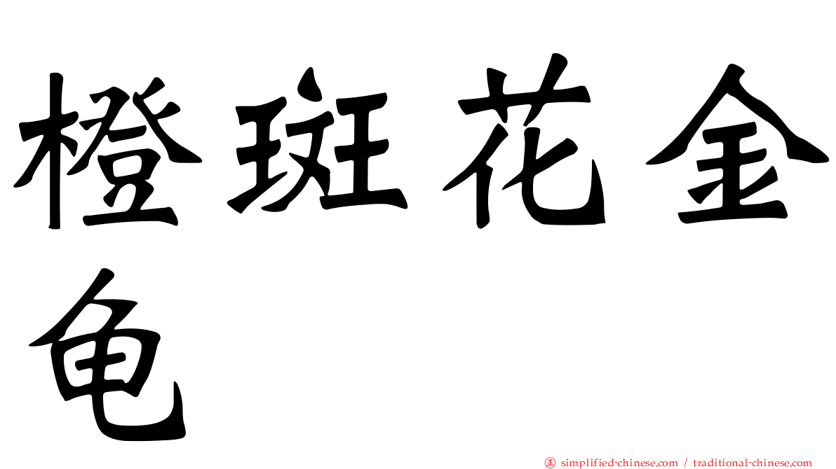 橙斑花金龟