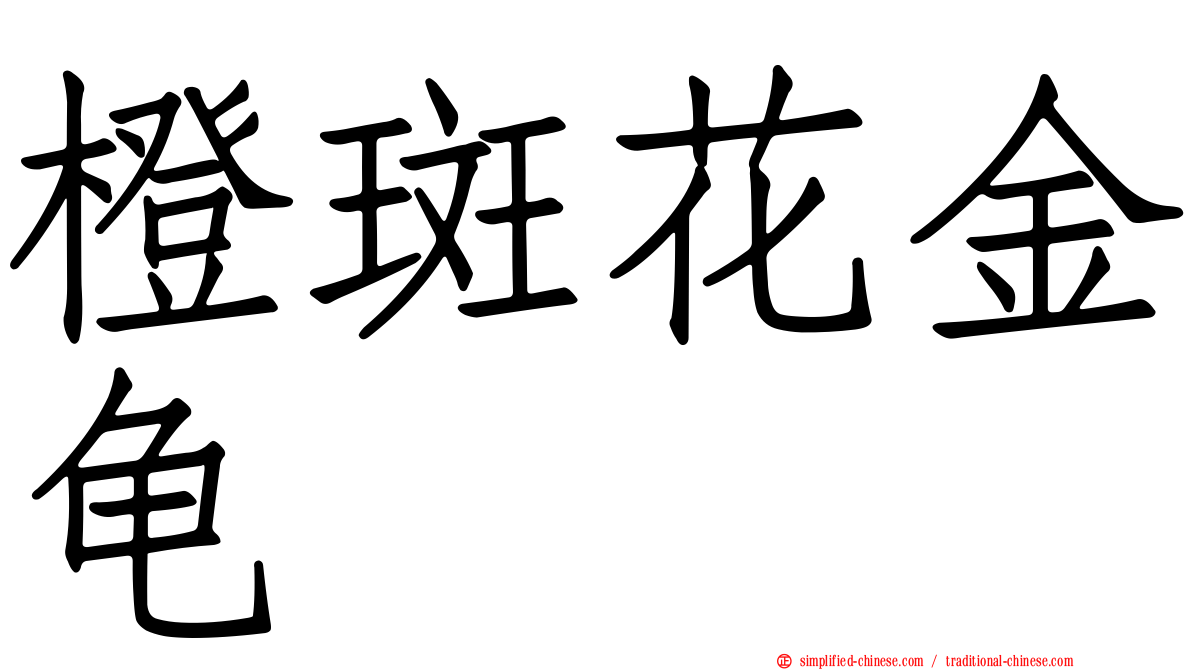橙斑花金龟