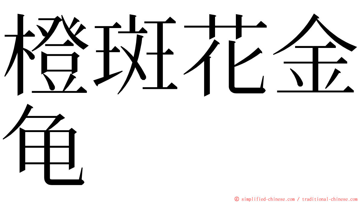 橙斑花金龟 ming font