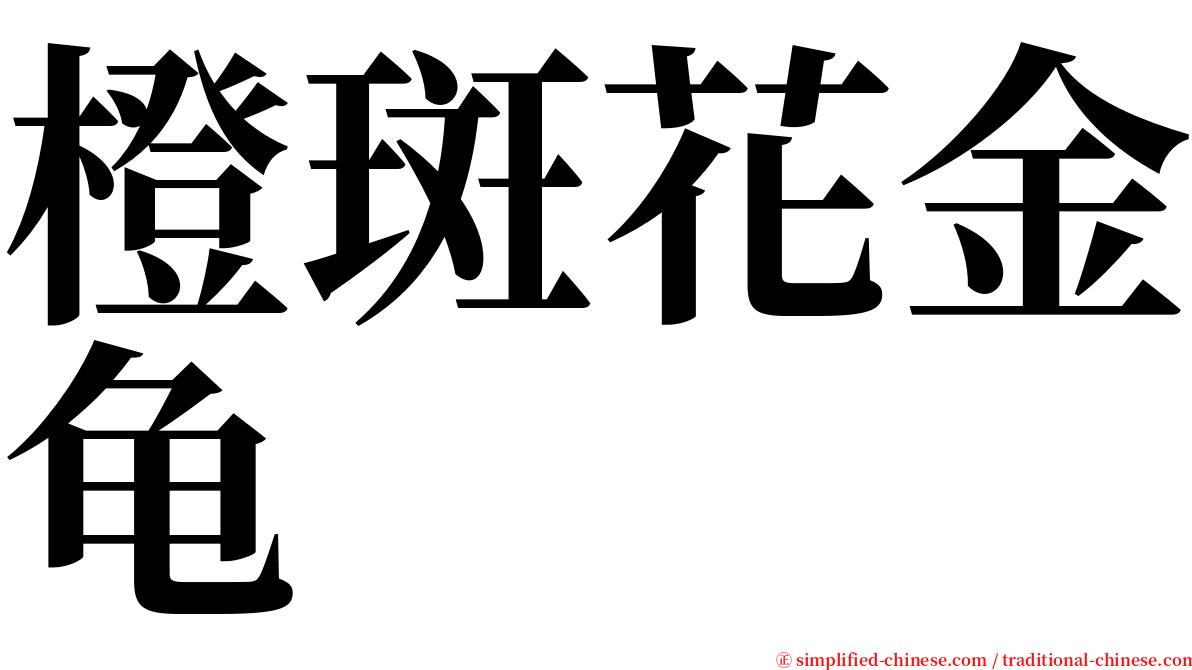 橙斑花金龟 serif font