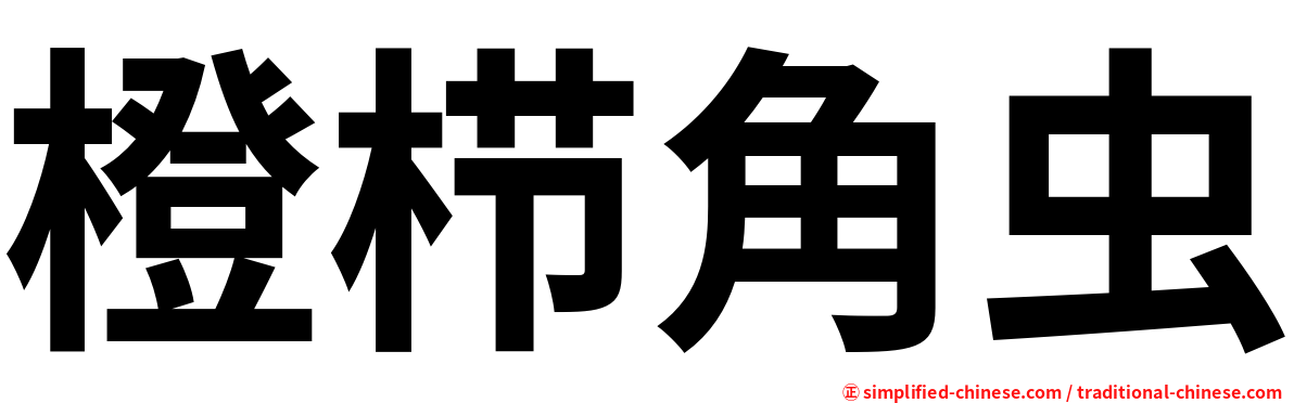 橙栉角虫