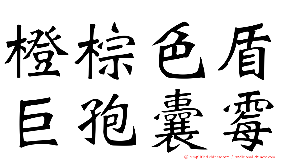 橙棕色盾巨孢囊霉