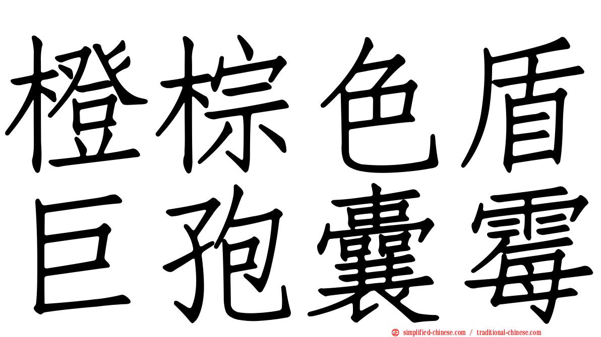 橙棕色盾巨孢囊霉