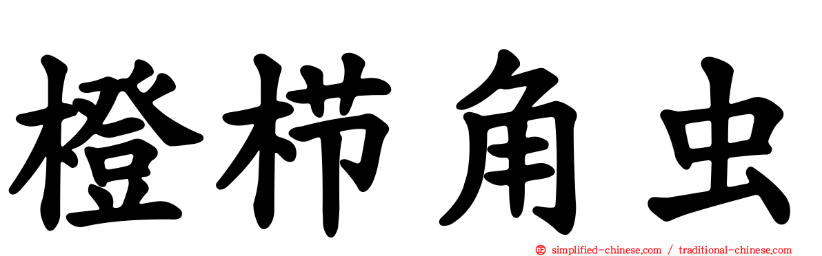 橙栉角虫