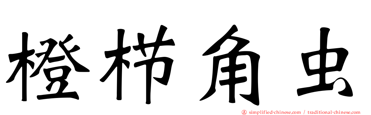 橙栉角虫