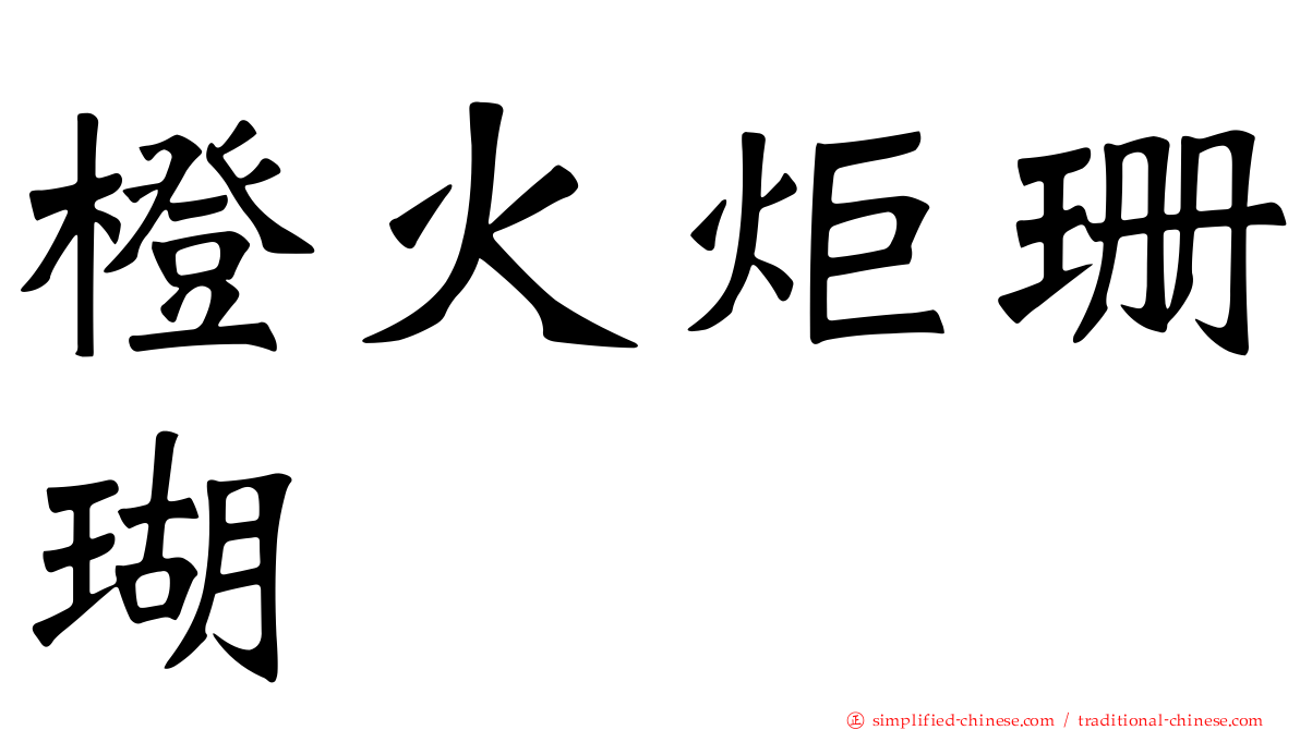 橙火炬珊瑚