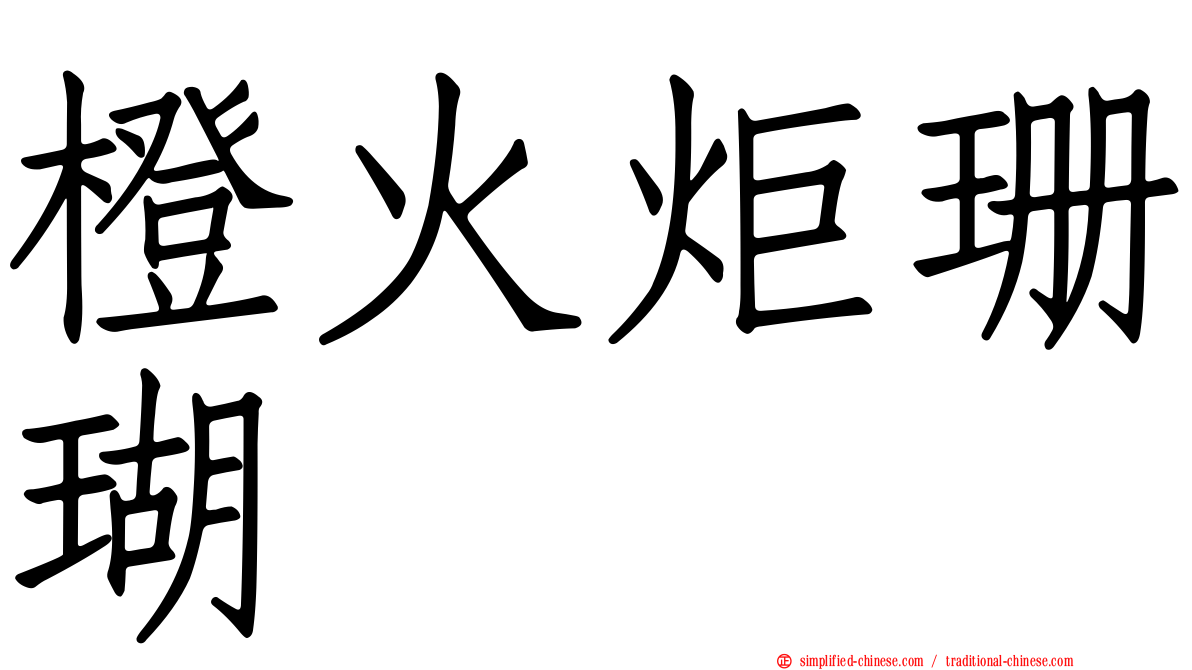 橙火炬珊瑚