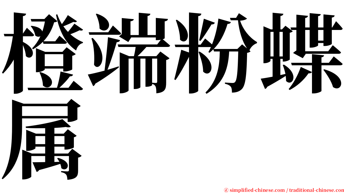 橙端粉蝶属 serif font