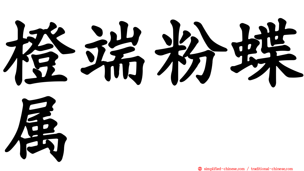 橙端粉蝶属