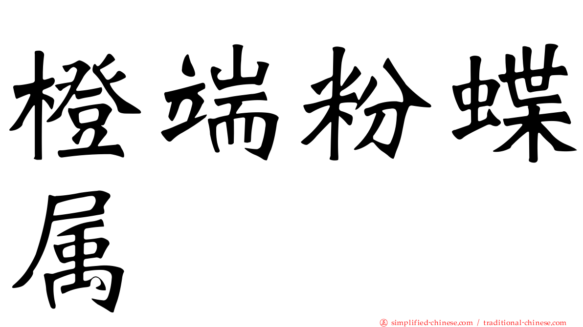 橙端粉蝶属