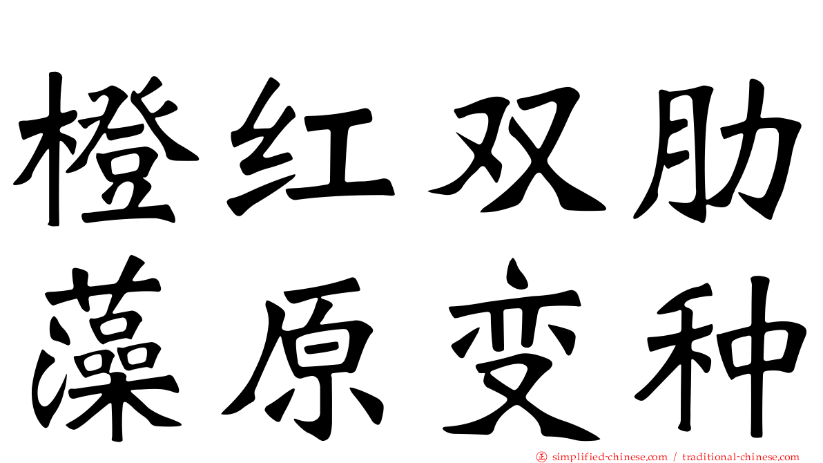 橙红双肋藻原变种