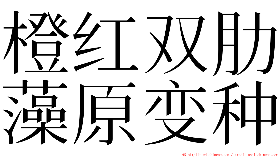 橙红双肋藻原变种 ming font