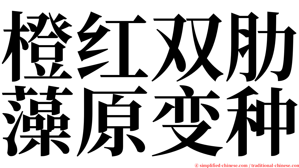 橙红双肋藻原变种 serif font