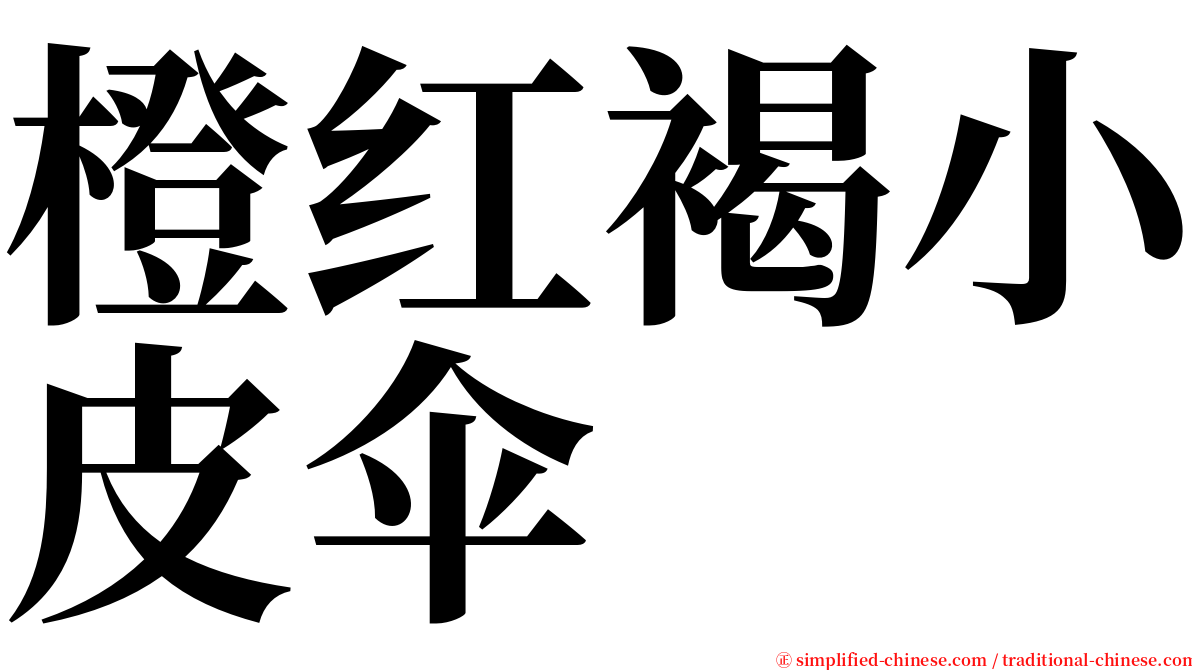 橙红褐小皮伞 serif font