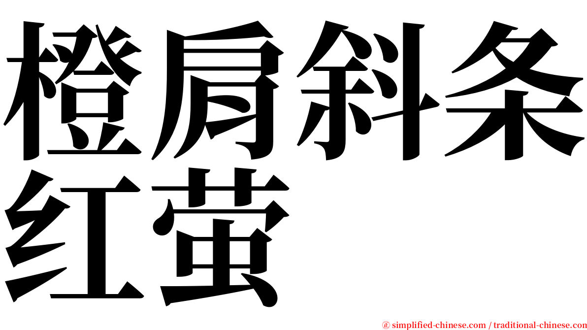 橙肩斜条红萤 serif font