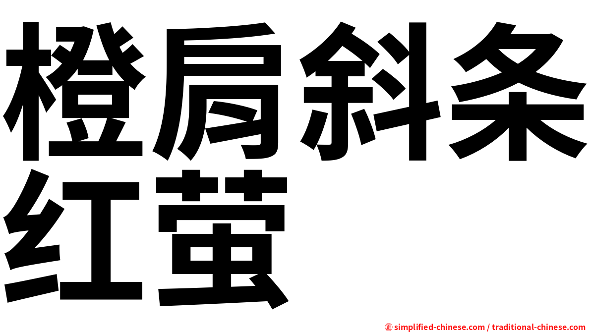 橙肩斜条红萤