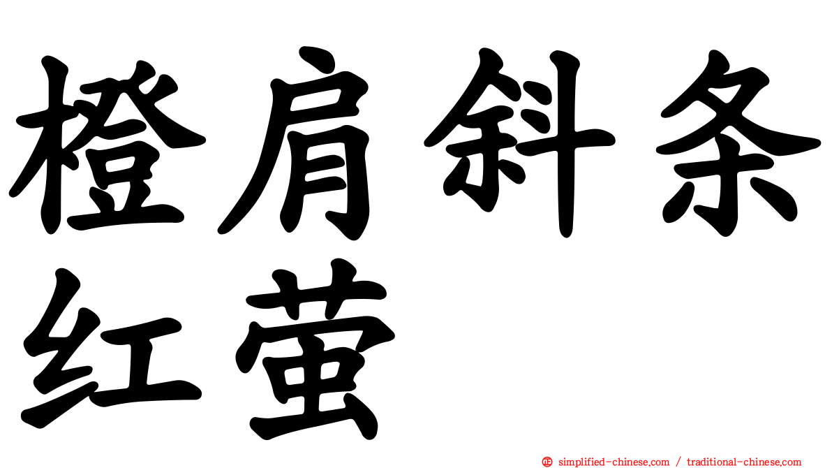 橙肩斜条红萤