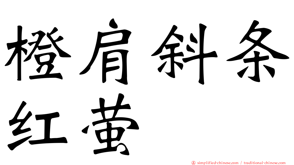 橙肩斜条红萤