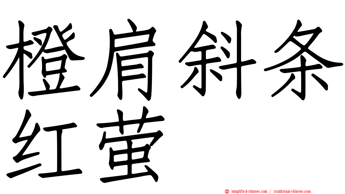 橙肩斜条红萤