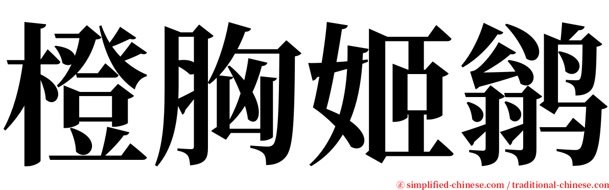 橙胸姬鹟 serif font