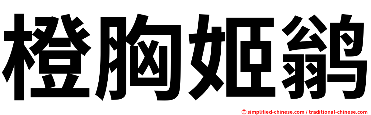 橙胸姬鹟