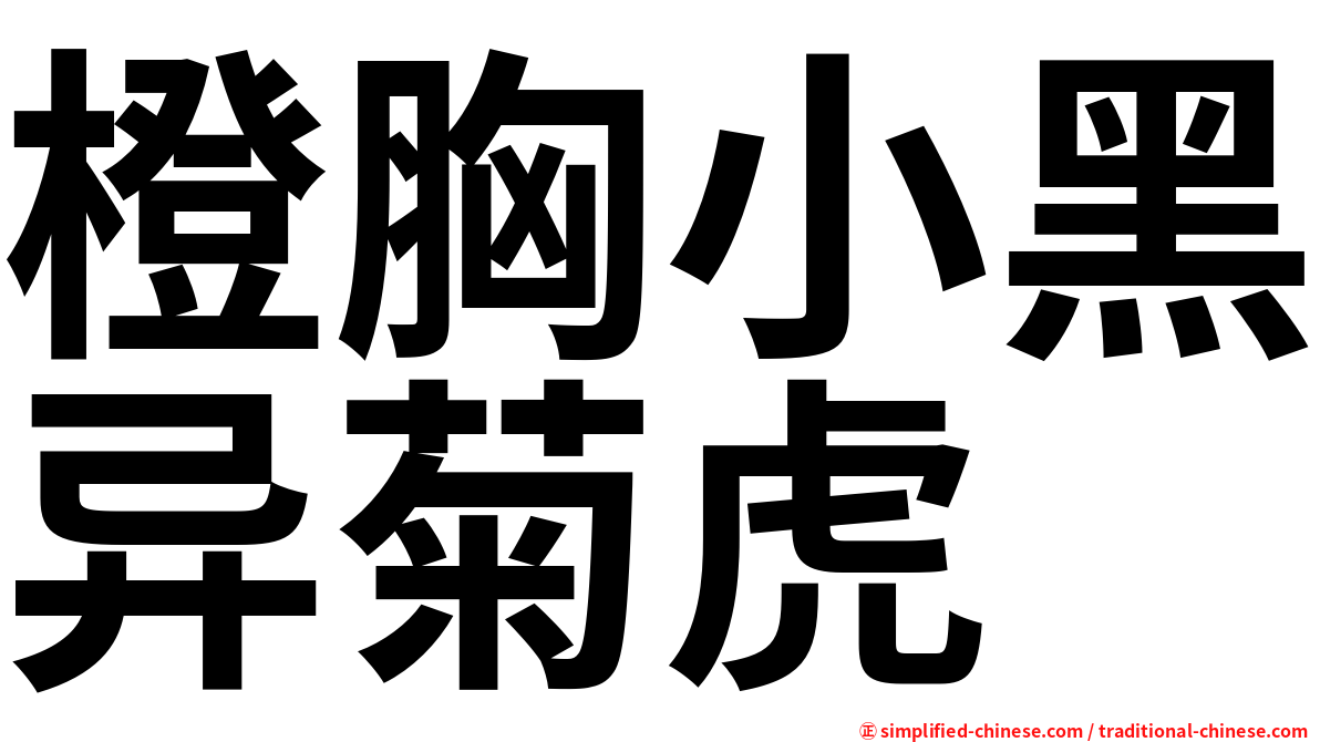 橙胸小黑异菊虎