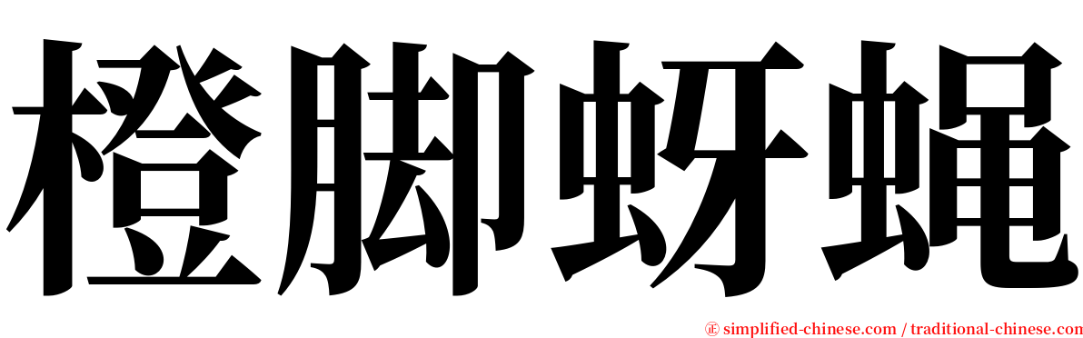 橙脚蚜蝇 serif font