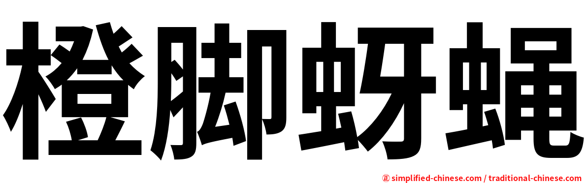 橙脚蚜蝇