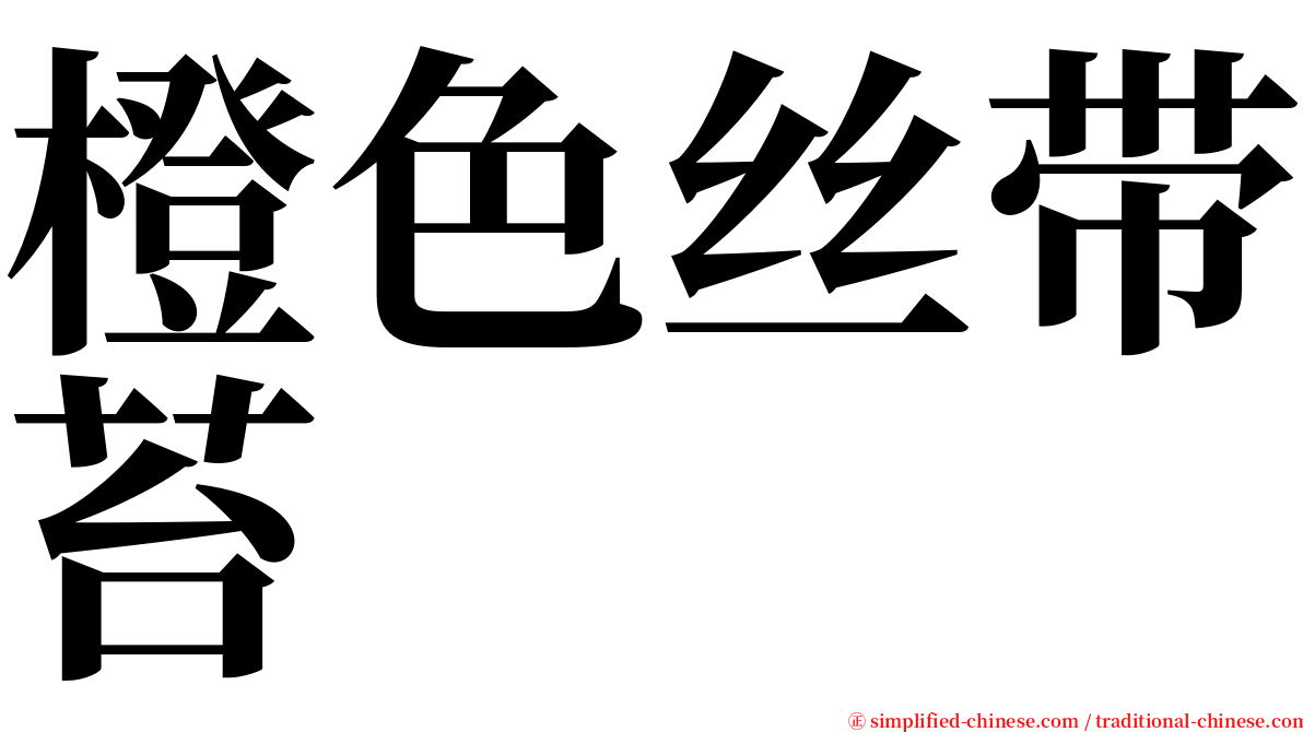 橙色丝带苔 serif font