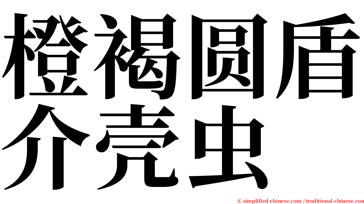 橙褐圆盾介壳虫 serif font