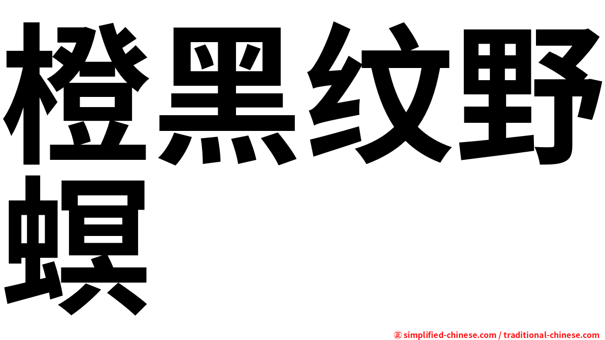 橙黑纹野螟