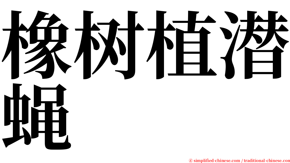 橡树植潜蝇 serif font
